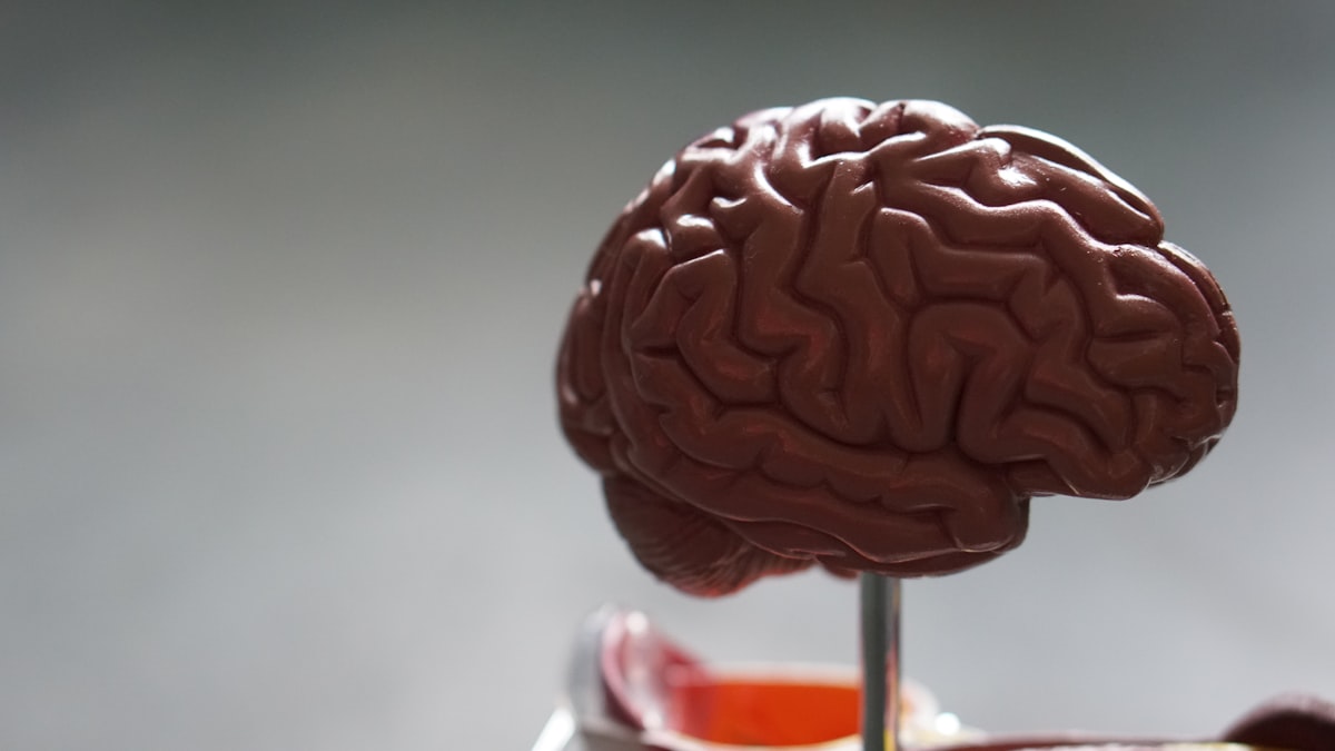 Brain-healthy foods including nuts, berries, and leafy greens
