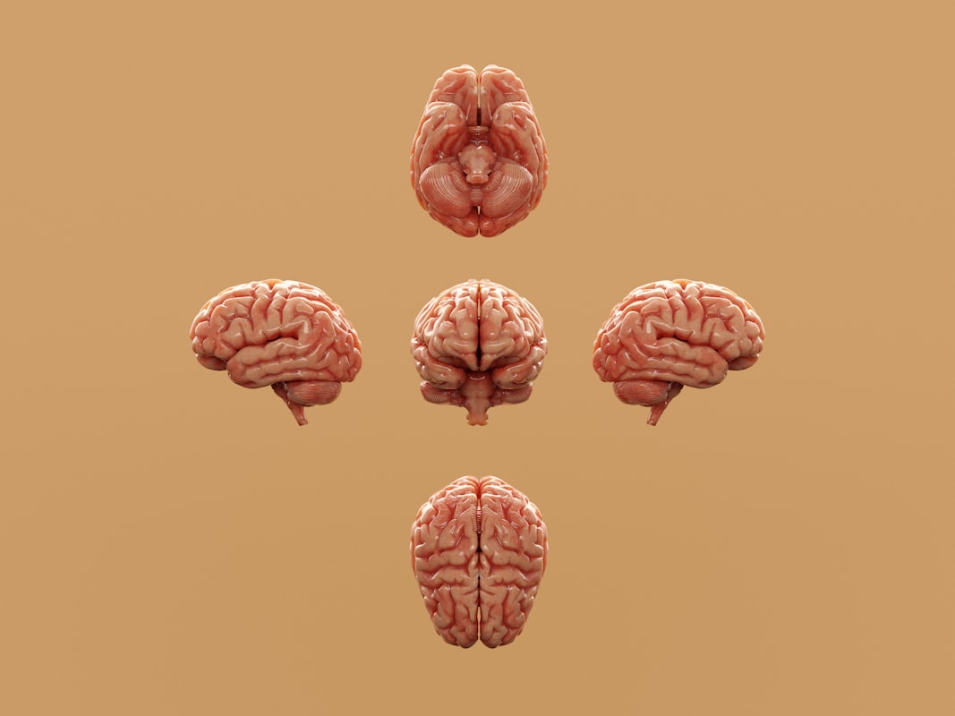 Antioxidants and brain protection